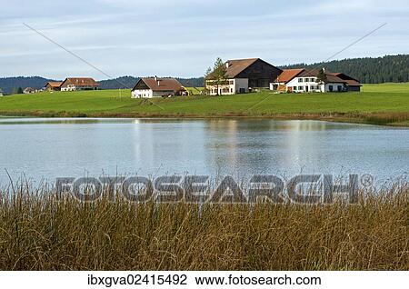 "Lake Tailleres, Lac des Tailleres in autumn, near the hamlet of Les Tailleres, in the Vallee de la Brevine, La Brevine Valley, Neuchatel Jura, Switzerland, Europe" View Large Photo Image Stock Image - "Lake Tailleres, Lac des Tailleres in autumn, near the hamlet of Les Tailleres, in the Vallee de la Brevine, La Brevine Valley, Neuchatel Jura, Switzerland, Europe". Fotosearch