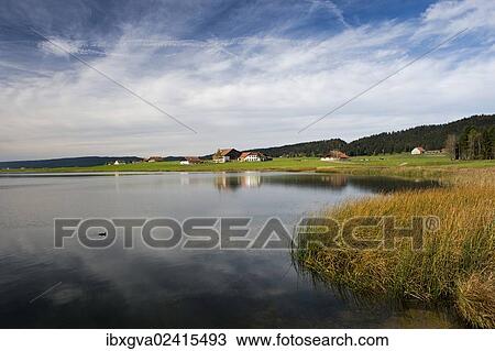 "Lake Tailleres, Lac des Tailleres in autumn, near the hamlet of Les Tailleres, in the Vallee de la Brevine, La Brevine Valley, Neuchatel Jura, Switzerland, Europe" View Large Photo Image Stock Image - "Lake Tailleres, Lac des Tailleres in autumn, near the hamlet of Les Tailleres, in the Vallee de la Brevine, La Brevine Valley, Neuchatel Jura, Switzerland, Europe". Fotosearch