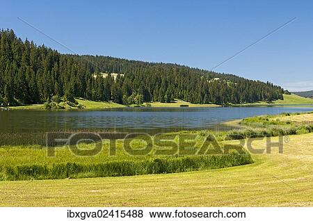 "Lake Tailleres, Lac des Tailleres in summer, in the Vallee de la Brevine, La Brevine Valley, Neuchatel Jura, Switzerland, Europe" View Large Photo Image Stock Photo - "Lake Tailleres, Lac des Tailleres in summer, in the Vallee de la Brevine, La Brevine Valley, Neuchatel Jura, Switzerland, Europe". Fotosearch