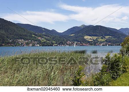Stock Image - "Lake Tegernsee with town of Tegernsee, view from Bad Wiessee, Tegernsee Valley, Upper Bavaria, Bavaria, Germany, Europe, PublicGround, Europe". Fotosearch