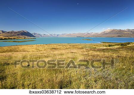 "Lake Tekapo, the Two Thumb Range, the Hall Range and Sibbald Range, Lake Tekapo, Canterbury Region, New Zealand, Oceania" View Large Photo Image Stock Image - "Lake Tekapo, the Two Thumb Range, the Hall Range and Sibbald Range, Lake Tekapo, Canterbury Region, New Zealand, Oceania". Fotosearch