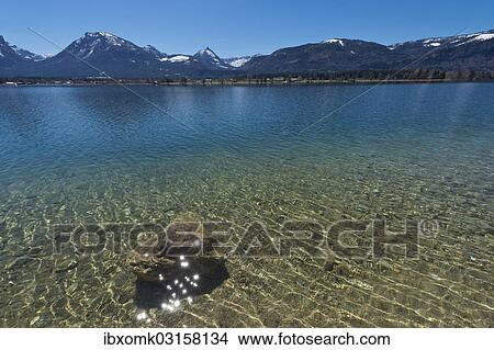 Picture - "Lake Wolfgang, clear water, Ried am Wolfgangsee, Salzburg State, Austria, Europe". Fotosearch
