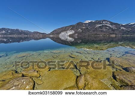 "Lake Wolfgang with a reflection of the surrounding mountains, near St. Gilgen, Salzkammergut, Salzburger Land, Oberosterreich, Austria, Europe" View Large Photo Image Stock Photo - "Lake Wolfgang with a reflection of the surrounding mountains, near St. Gilgen, Salzkammergut, Salzburger Land, Oberosterreich, Austria, Europe". Fotosearch