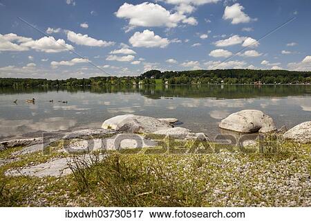 "Lakeshore of Lake Woerth, Erling, Andechs, Funfseenland, Upper Bavaria, Bavaria, Germany, Europe" View Large Photo Image Stock Photo - "Lakeshore of Lake Woerth, Erling, Andechs, Funfseenland, Upper Bavaria, Bavaria, Germany, Europe". Fotosearch