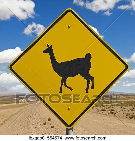 "Lama sign, Altiplano, Potosi, Bolivia, South America" View Large Photo Image Picture - "Lama sign, Altiplano, Potosi, Bolivia, South America". Fotosearch