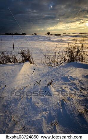 Stock Image - "Landscape at sunrise in winter, Schleswig-Holstein, Germany, Europe". Fotosearch