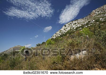 "Landscape at Torroella de Montgri, Girona province, Catalonia, Spain, Europe" View Large Photo Image Stock Image - "Landscape at Torroella de Montgri, Girona province, Catalonia, Spain, Europe". Fotosearch