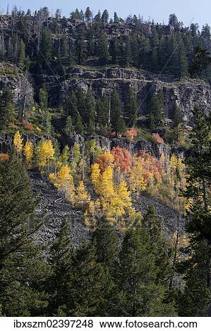 "Landscape in fall, Utah, USA" View Large Photo Image Stock Photo - "Landscape in fall, Utah, USA". Fotosearch