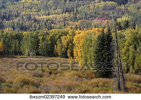"Landscape in fall, Utah, USA" View Large Photo Image Stock Photo - "Landscape in fall, Utah, USA". Fotosearch