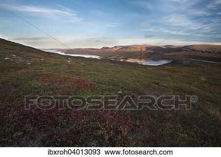 Stock Image - "Landscape in Sarek National Park, Laponia, Lapland, Sweden, Europe". Fotosearch