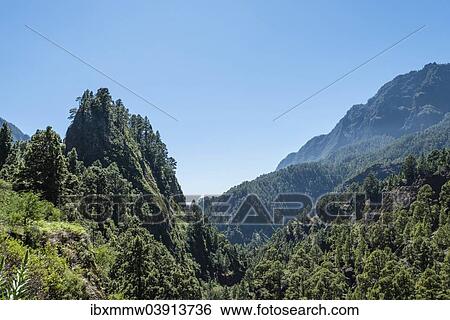 "Landscape in the Caldera de Taburiente National Park, La Palma, Canary Islands, Spain, Europe" View Large Photo Image Stock Photograph - "Landscape in the Caldera de Taburiente National Park, La Palma, Canary Islands, Spain, Europe". Fotosearch