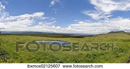 "Landscape in the Lake Nakuru National Park, Kenya, East Africa, Africa, PublicGround, Africa" View Large Photo Image Stock Photo - "Landscape in the Lake Nakuru National Park, Kenya, East Africa, Africa, PublicGround, Africa". Fotosearch