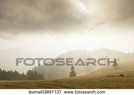 "Landscape in the mist, Belchen, Black Forest, Baden-Wurttemberg, Germany, Europe" View Large Photo Image Stock Photo - "Landscape in the mist, Belchen, Black Forest, Baden-Wurttemberg, Germany, Europe". Fotosearch