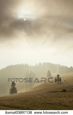 "Landscape in the mist, Belchen, Black Forest, Baden-Wurttemberg, Germany, Europe" View Large Photo Image Stock Photo - "Landscape in the mist, Belchen, Black Forest, Baden-Wurttemberg, Germany, Europe". Fotosearch