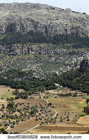 "Landscape in the Tramuntana Mountains, Majorca, Balearic Islands, Spain, Europe" View Large Photo Image Stock Photo - "Landscape in the Tramuntana Mountains, Majorca, Balearic Islands, Spain, Europe". Fotosearch
