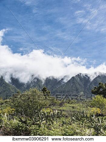 "Landscape, La Palma, Canary Islands, Spain, Europe" View Large Photo Image Stock Image - "Landscape, La Palma, Canary Islands, Spain, Europe". Fotosearch