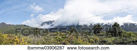 Stock Photo - "Landscape, La Palma, Canary Islands, Spain, Europe". Fotosearch