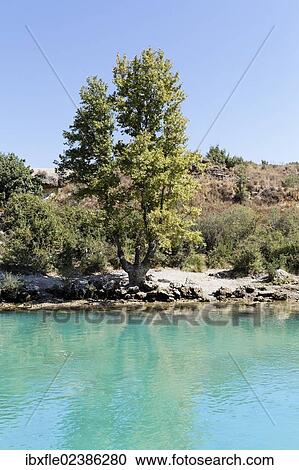 "Landscape on the shore of the Manavgat River in the town of Manavgat, Antalya, Turkish Riviera, Turkey, Asia" View Large Photo Image Stock Image - "Landscape on the shore of the Manavgat River in the town of Manavgat, Antalya, Turkish Riviera, Turkey, Asia". Fotosearch