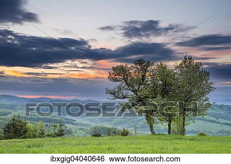 "Landscape, Protected Landscape Area Bile Karpaty, White Carpathian Mountains, Zitkova, Czech Republic, Europe" View Large Photo Image Stock Photograph - "Landscape, Protected Landscape Area Bile Karpaty, White Carpathian Mountains, Zitkova, Czech Republic, Europe". Fotosearch