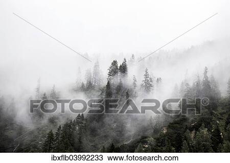 "Landscape, Seidlwinkltal valley, Rauris, High Tauern or Hohe Tauern National Park, Salzburger Land, Austria, Europe" View Large Photo Image Stock Image - "Landscape, Seidlwinkltal valley, Rauris, High Tauern or Hohe Tauern National Park, Salzburger Land, Austria, Europe". Fotosearch