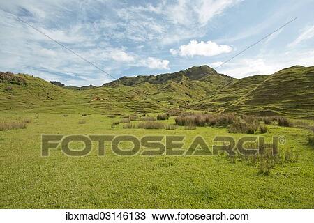 Stock Image - "Landscape with green hills, Coromandel, Coromandel Peninsula, North Island, New Zealand, Oceania". Fotosearch