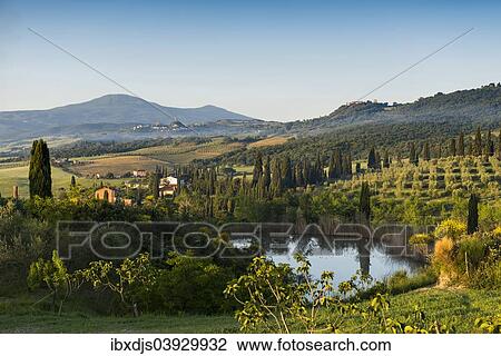 "Landscape with hills and cypress trees, morning light, Val d'Orcia, UNESCO World Heritage Site, near Pienza, Province of Siena, Tuscany, Italy, Europe" View Large Photo Image Stock Image - "Landscape with hills and cypress trees, morning light, Val d'Orcia, UNESCO World Heritage Site, near Pienza, Province of Siena, Tuscany, Italy, Europe". Fotosearch