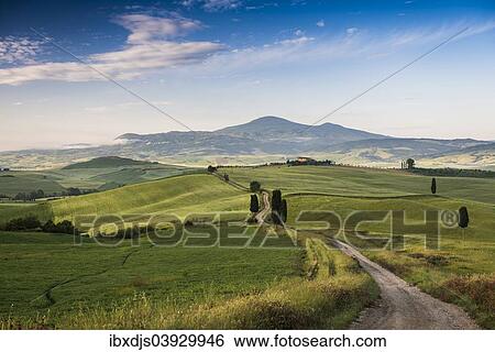 "Landscape with hills and cypress trees, morning light, Val d'Orcia, UNESCO World Heritage Site, near Pienza, Province of Siena, Tuscany, Italy, Europe" View Large Photo Image Stock Photograph - "Landscape with hills and cypress trees, morning light, Val d'Orcia, UNESCO World Heritage Site, near Pienza, Province of Siena, Tuscany, Italy, Europe". Fotosearch