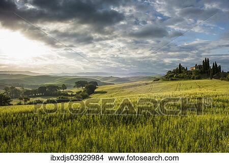 "Landscape with hills and farm with cypress trees, morning light, Val d'Orcia, UNESCO World Heritage Site, near San Quirico d'Orcia, Province of Siena, Tuscany, Italy, Europe" View Large Photo Image Picture - "Landscape with hills and farm with cypress trees, morning light, Val d'Orcia, UNESCO World Heritage Site, near San Quirico d'Orcia, Province of Siena, Tuscany, Italy, Europe". Fotosearch