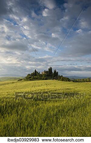 "Landscape with hills and farm with cypress trees, morning light, Val d'Orcia, UNESCO World Heritage Site, near San Quirico d'Orcia, Province of Siena, Tuscany, Italy, Europe" View Large Photo Image Stock Image - "Landscape with hills and farm with cypress trees, morning light, Val d'Orcia, UNESCO World Heritage Site, near San Quirico d'Orcia, Province of Siena, Tuscany, Italy, Europe". Fotosearch