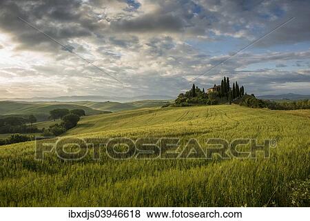 Stock Photo - "Landscape with hills and farm with cypress trees, morning light, UNESCO World Heritage Site Val d'Orcia, near San Quirico d'Orcia, Province of Siena, Tuscany, Italy, Europe". Fotosearch