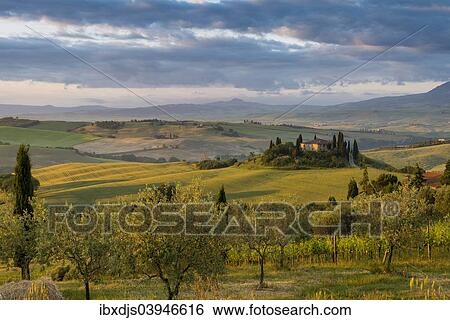 "Landscape with hills and farm with cypress trees, morning light, UNESCO World Heritage Site Val d'Orcia, near San Quirico d'Orcia, Province of Siena, Tuscany, Italy, Europe" View Large Photo Image Stock Photograph - "Landscape with hills and farm with cypress trees, morning light, UNESCO World Heritage Site Val d'Orcia, near San Quirico d'Orcia, Province of Siena, Tuscany, Italy, Europe". Fotosearch