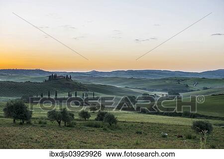"Landscape with hills and farmstead with cypress trees, sunrise, Val d'Orcia, UNESCO World Heritage Site, near San Quirico d'Orcia, Province of Siena, Tuscany, Italy, Europe" View Large Photo Image Stock Photograph - "Landscape with hills and farmstead with cypress trees, sunrise, Val d'Orcia, UNESCO World Heritage Site, near San Quirico d'Orcia, Province of Siena, Tuscany, Italy, Europe". Fotosearch