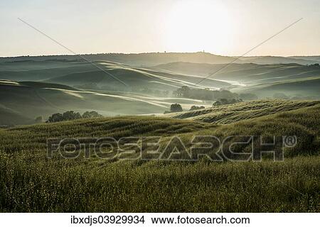 "Landscape with hills, morning light, Val d'Orcia, UNESCO World Heritage Site, near San Quirico d'Orcia, Province of Siena, Tuscany, Italy, Europe" View Large Photo Image Picture - "Landscape with hills, morning light, Val d'Orcia, UNESCO World Heritage Site, near San Quirico d'Orcia, Province of Siena, Tuscany, Italy, Europe". Fotosearch