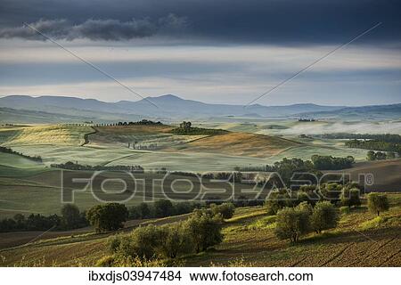 "Landscape with hills, morning light, UNESCO World Heritage Site Val d'Orcia, near Pienza, Province of Siena, Tuscany, Italy, Europe" View Large Photo Image Picture - "Landscape with hills, morning light, UNESCO World Heritage Site Val d'Orcia, near Pienza, Province of Siena, Tuscany, Italy, Europe". Fotosearch
