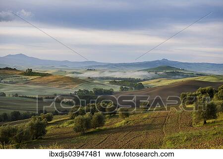 "Landscape with hills, morning light, UNESCO World Heritage Site Val d'Orcia, near Pienza, Province of Siena, Tuscany, Italy, Europe" View Large Photo Image Stock Image - "Landscape with hills, morning light, UNESCO World Heritage Site Val d'Orcia, near Pienza, Province of Siena, Tuscany, Italy, Europe". Fotosearch