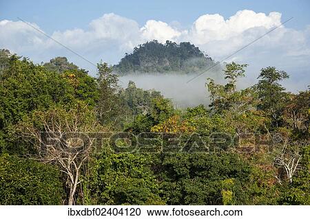 "Landscape with mist, forest, jungle, northern Thailand, Thailand, Asia" View Large Photo Image Stock Image - "Landscape with mist, forest, jungle, northern Thailand, Thailand, Asia". Fotosearch