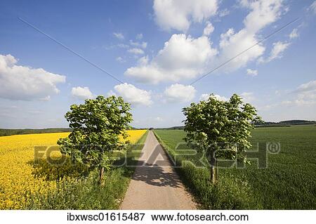 "Landscape with road and cloud formations, Vulkan Eifel region, Rhineland-Palatinate, Germany, Europe" View Large Photo Image Stock Photo - "Landscape with road and cloud formations, Vulkan Eifel region, Rhineland-Palatinate, Germany, Europe". Fotosearch