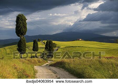 "Landscape with rural road, near Pienza, Val d'Orcia, Province of Siena, Tuscany, Italy, Europe" View Large Photo Image Picture - "Landscape with rural road, near Pienza, Val d'Orcia, Province of Siena, Tuscany, Italy, Europe". Fotosearch