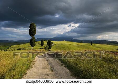 "Landscape with rural road, near Pienza, Val d'Orcia, Province of Siena, Tuscany, Italy, Europe" View Large Photo Image Stock Image - "Landscape with rural road, near Pienza, Val d'Orcia, Province of Siena, Tuscany, Italy, Europe". Fotosearch