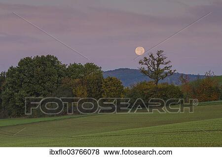 "Landscape with setting moon, Offheim, Limburg an der Lahn, Hesse, Germany, Europe" View Large Photo Image Stock Photo - "Landscape with setting moon, Offheim, Limburg an der Lahn, Hesse, Germany, Europe". Fotosearch