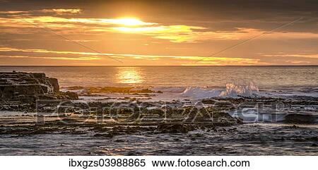 Stock Photography - "Landscape with sunset on the rocky coast, Curio Bay, The Catlins, South Island, New Zealand, Oceania". Fotosearch