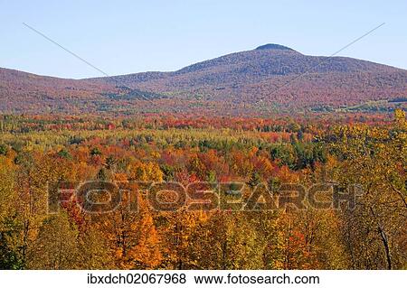 "Landscape with trees in autumnal colours, Mansonville, Quebec, Canada, North America" View Large Photo Image Stock Photo - "Landscape with trees in autumnal colours, Mansonville, Quebec, Canada, North America". Fotosearch