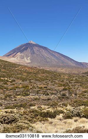 "Landscape with vegetation typical of the Parque Nacional de las Canadas del Teide, Teide National Park, UNESCO World Natural Heritage Site, with Mount Teide volcano at the rear, Montijos, Palo Blanco, Tenerife, Canary Islands, Spain, Europe" View Large Photo Image Stock Photo - "Landscape with vegetation typical of the Parque Nacional de las Canadas del Teide, Teide National Park, UNESCO World Natural Heritage Site, with Mount Teide volcano at the rear, Montijos, Palo Blanco, Tenerife, Canary Islands, Spain, Europe". Fotosearch