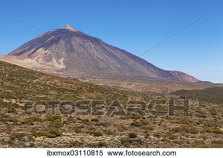 "Landscape with vegetation typical of the Parque Nacional de las Canadas del Teide, Teide National Park, UNESCO World Natural Heritage Site, with Mount Teide volcano at the rear, Montijos, Palo Blanco, Tenerife, Canary Islands, Spain, Europe" View Large Photo Image Stock Photography - "Landscape with vegetation typical of the Parque Nacional de las Canadas del Teide, Teide National Park, UNESCO World Natural Heritage Site, with Mount Teide volcano at the rear, Montijos, Palo Blanco, Tenerife, Canary Islands, Spain, Europe". Fotosearch