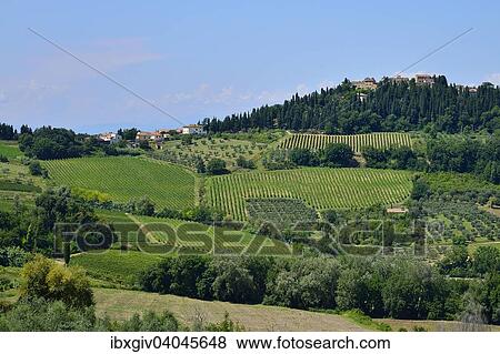 "Landscape with vineyards in the Chianti Classico wiwing area? Çï? Çï, Lecchi in Chianti, Province of Siena, Tuscany, Italy, Europe" View Large Photo Image Stock Photo - "Landscape with vineyards in the Chianti Classico wiwing area? Çï? Çï, Lecchi in Chianti, Province of Siena, Tuscany, Italy, Europe". Fotosearch
