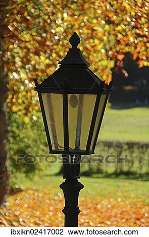 "Lantern in front of an autumn coloured deciduous tree, Uetersen, Schleswig-Holstein, Germany, Europe, PublicGround, Europe" View Large Photo Image Stock Image - "Lantern in front of an autumn coloured deciduous tree, Uetersen, Schleswig-Holstein, Germany, Europe, PublicGround, Europe". Fotosearch