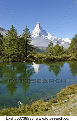 "Larches (Larix) at Lake Grindjisee, in front of the Matterhorn, Valais Alps, Canton of Valais, Switzerland, Europe" View Large Photo Image Stock Photograph - "Larches (Larix) at Lake Grindjisee, in front of the Matterhorn, Valais Alps, Canton of Valais, Switzerland, Europe". Fotosearch