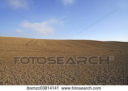 "Large field ready for sowing, Rhena, Mecklenburg-Vorpommern, Germany, Europe" View Large Photo Image Stock Image - "Large field ready for sowing, Rhena, Mecklenburg-Vorpommern, Germany, Europe". Fotosearch