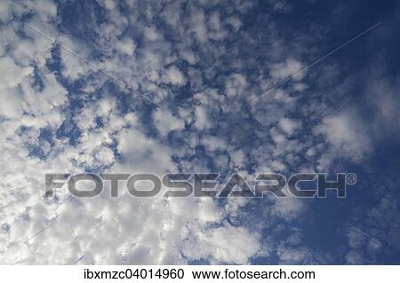"Large fleecy clouds, altocumulus, Germany, Europe" View Large Photo Image Stock Image - "Large fleecy clouds, altocumulus, Germany, Europe". Fotosearch