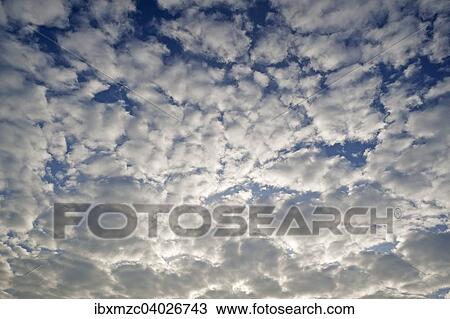 "Large fluffy clouds, Altocumulus, Germany, Europe" View Large Photo Image Stock Image - "Large fluffy clouds, Altocumulus, Germany, Europe". Fotosearch
